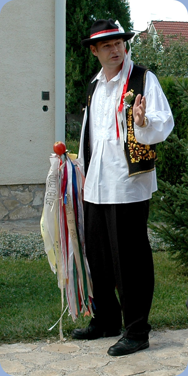 Dnes Tibor